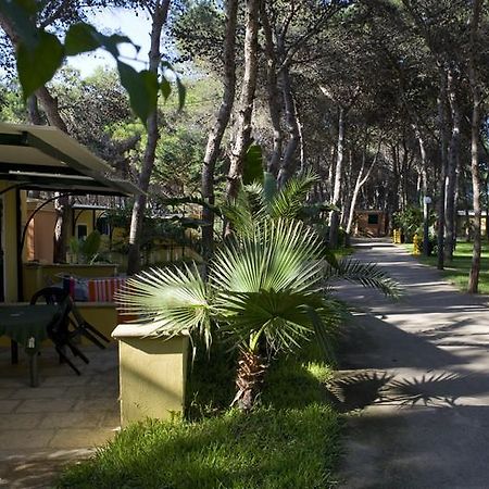 Camping La Vecchia Torre Hotel Gallipoli Ngoại thất bức ảnh