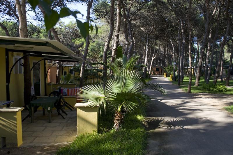 Camping La Vecchia Torre Hotel Gallipoli Ngoại thất bức ảnh